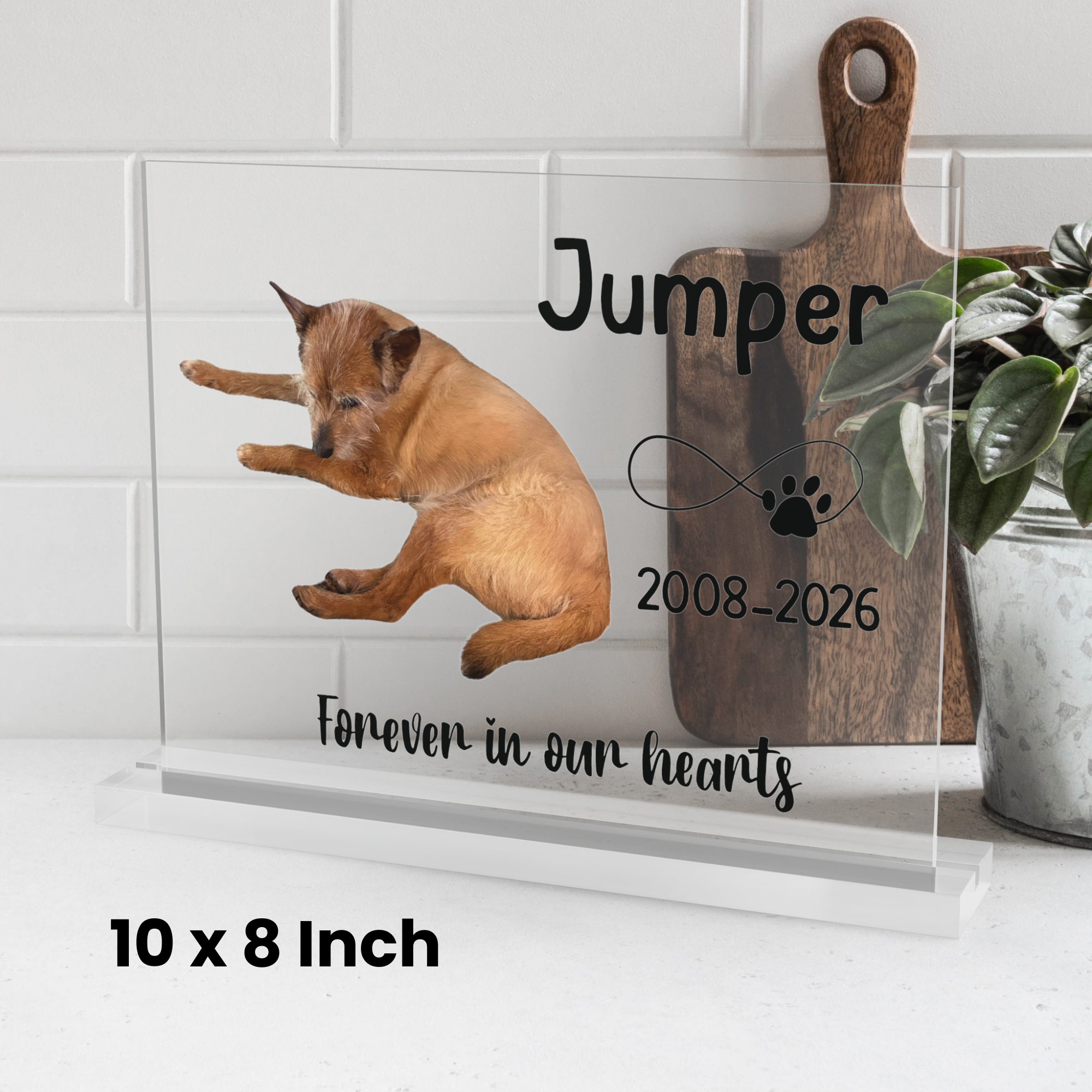 Custom Photo Pet Memorial Sign | Personalized Cat or Dog Loss Gift