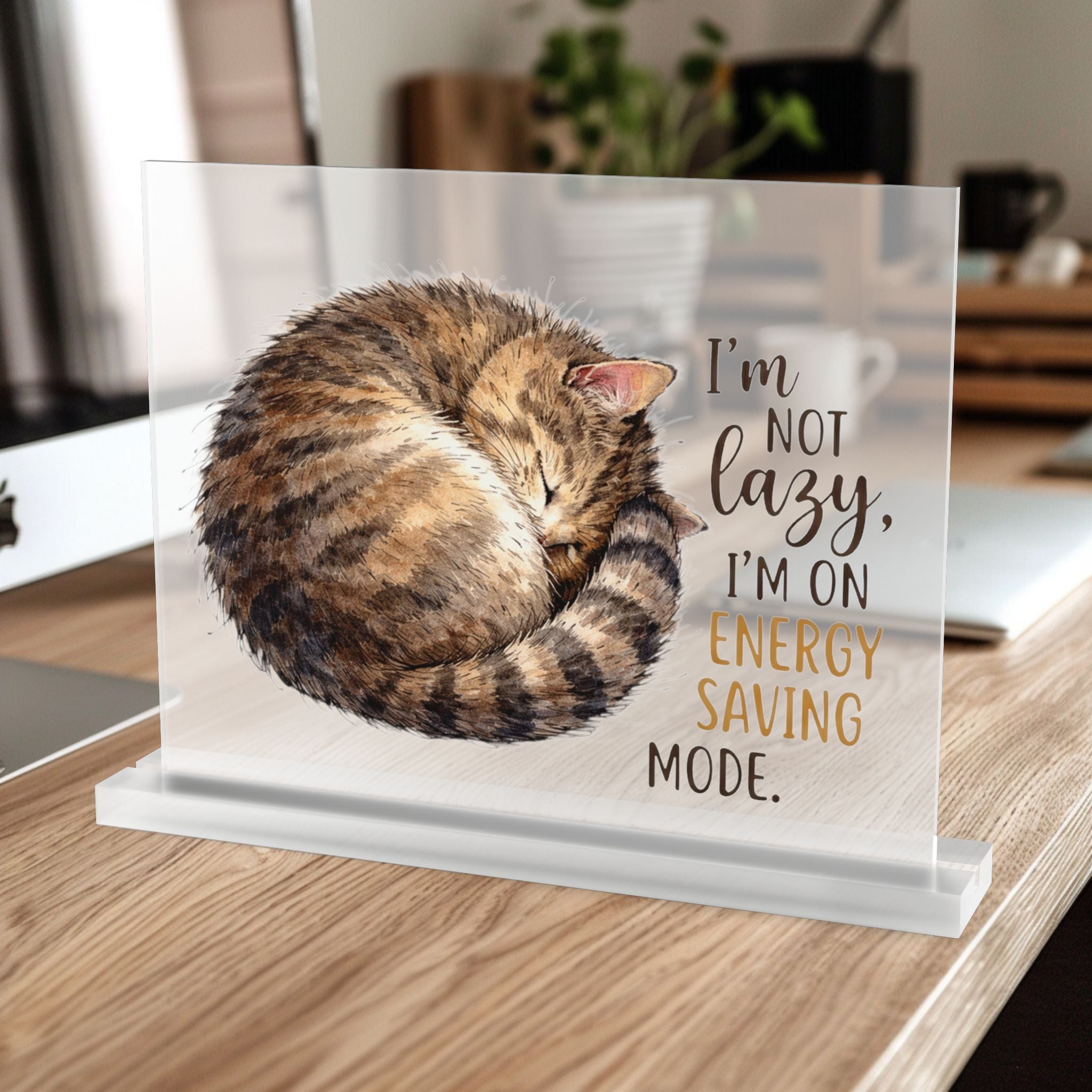 10 inch frosted Acrylic table desk plaque with a hand drawn tabby cat and humorous text on a wooden surface