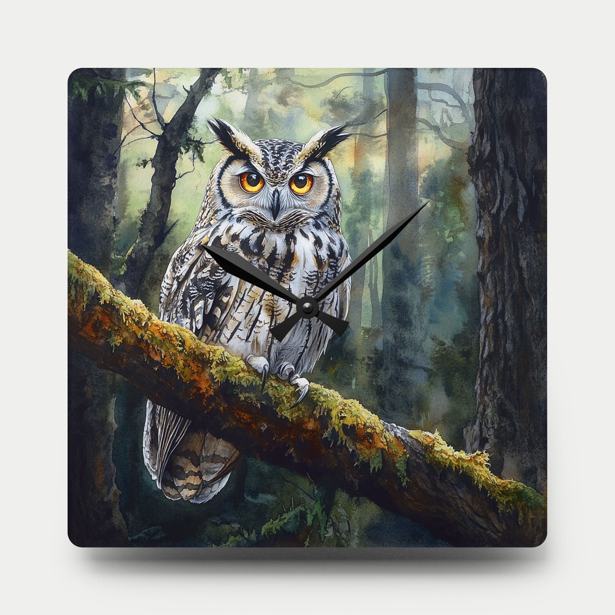 Wall clock with an owl design on a forest background