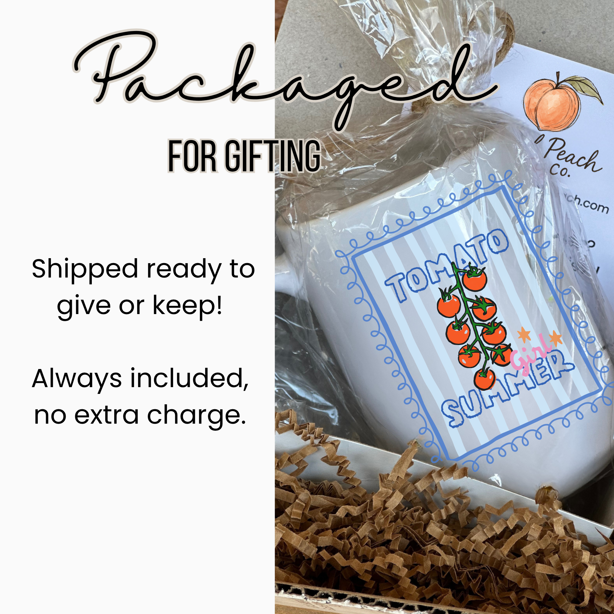 White 15oz. mug with 'Tomato Summer' design in a clear package, text indicating packaged for gifting.